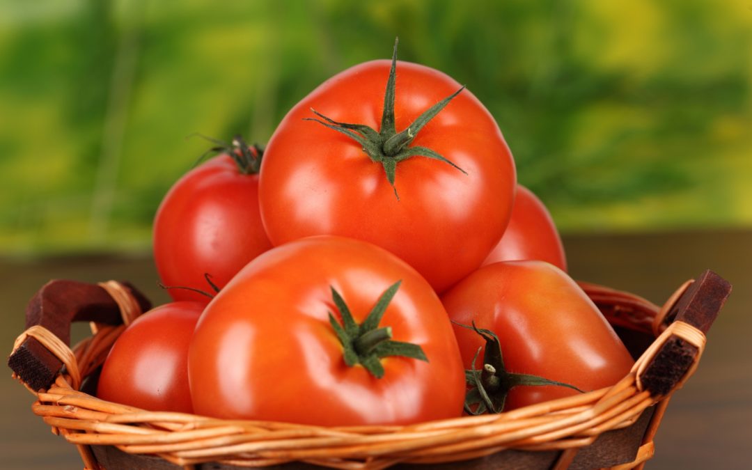 Vegetable and Herb Container Gardening