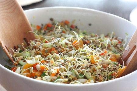 Find recipes to incorporate sprouts into daily meals!