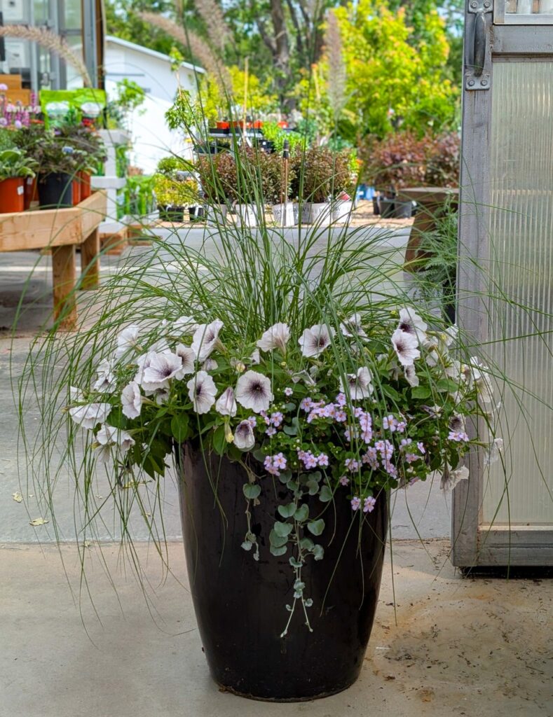 Screenshot_20260427-150156~2